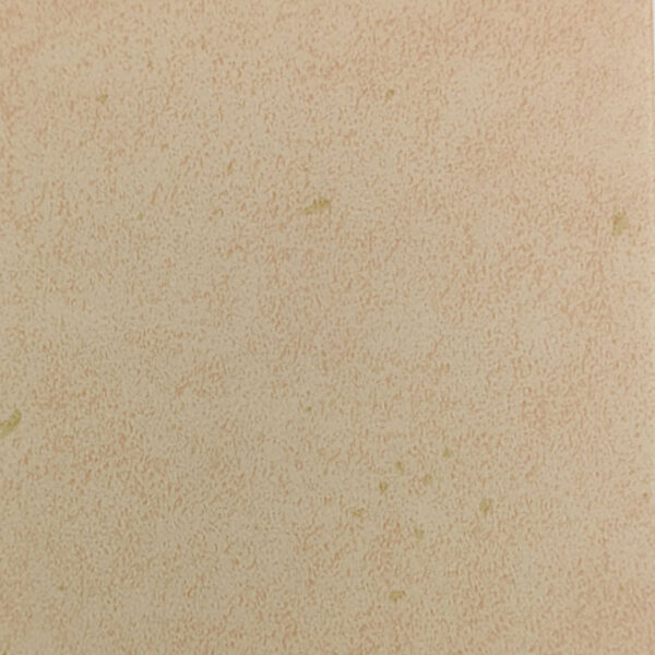 Коммерческий линолеум цвет Jingzhe-6192-01