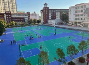 Модульное покрытие D2 court