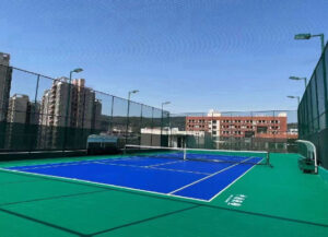 Модульное покрытие D2 court